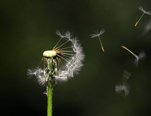 3 Versicherungsfragen zur Lebensversicherung